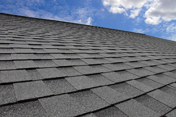 Best Metal Roofing Installation  in Port Huron, MI